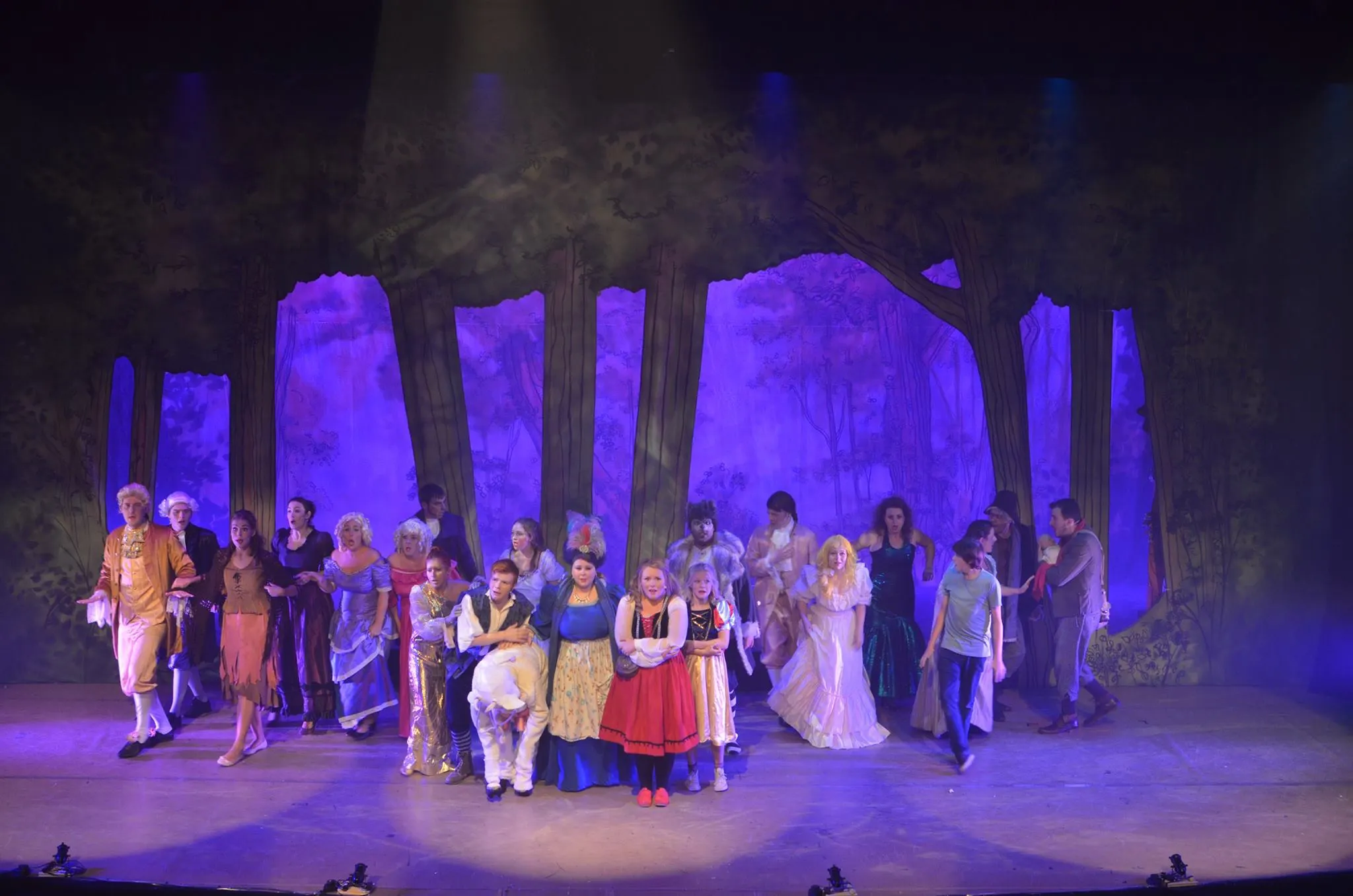 Into The Woods